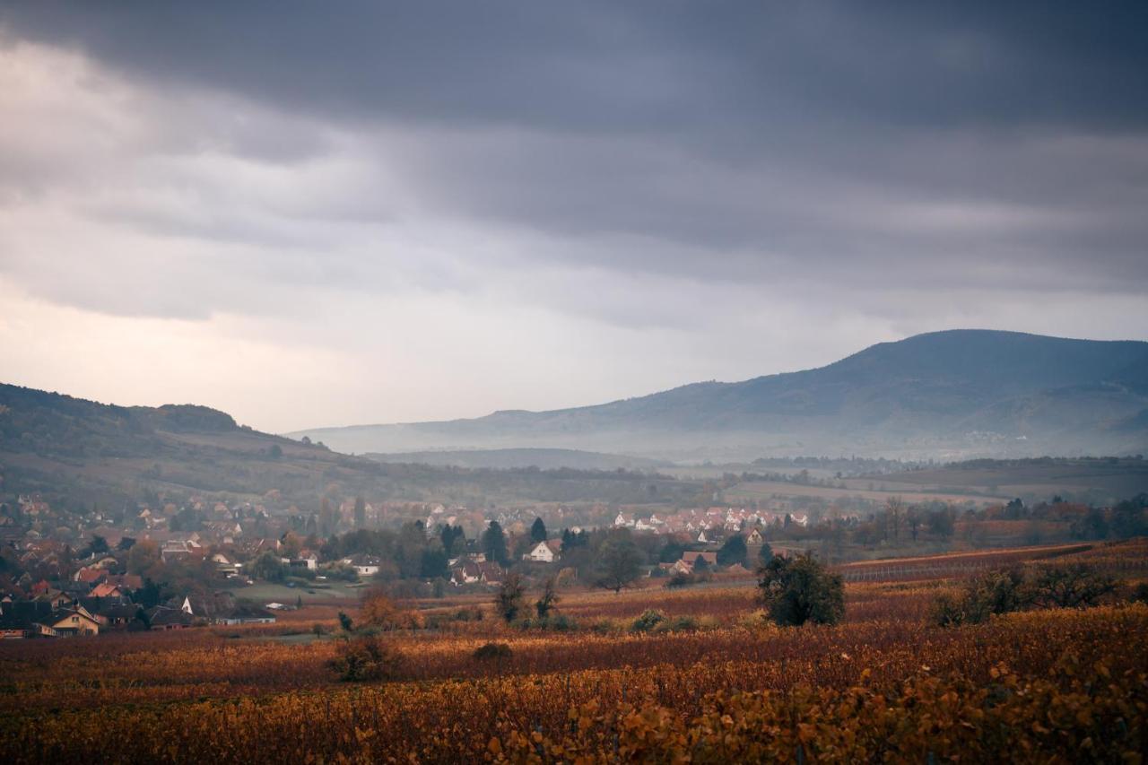 Le Rosenmeer - Hotel Restaurant, Au Coeur De La Route Des Vins D'Alsace Rosheim Exteriér fotografie